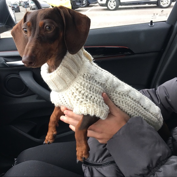 Meet your Posher, Kelsey - Picture 1 of 1